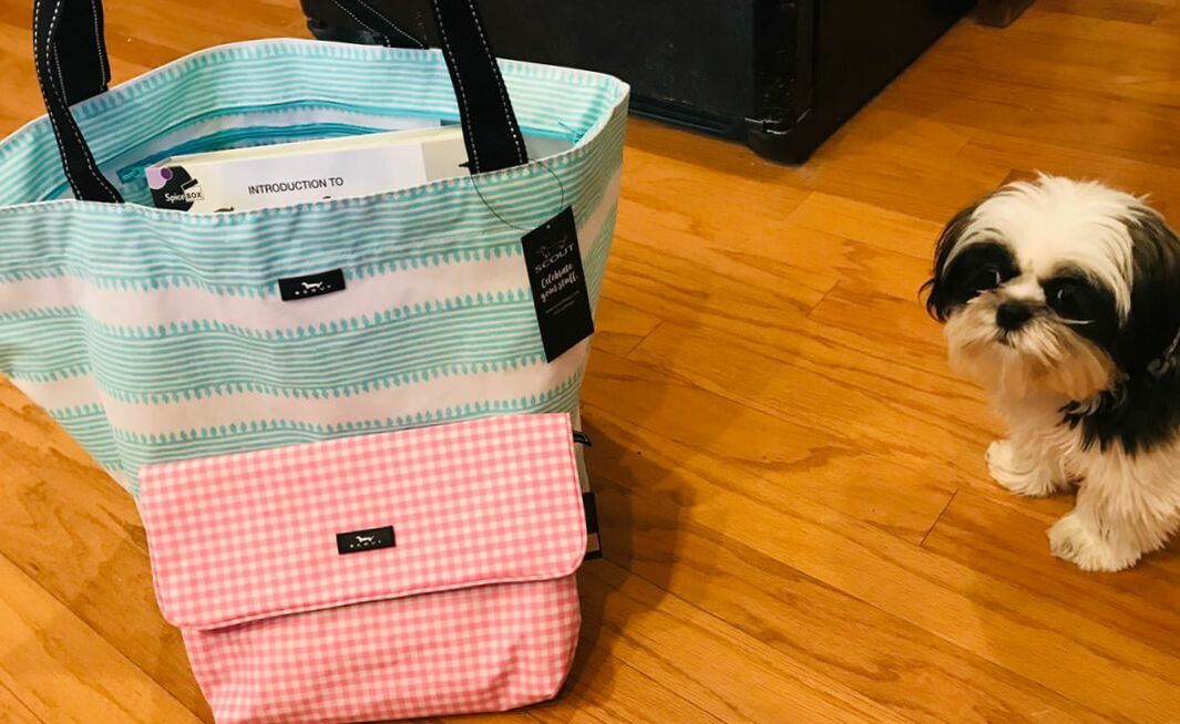 #scoutbags are #puppyapproved Farrah loves them.  Check out the logo #scoutbags Weekender and Tourista are wet-dry and are ready to take anywhere.